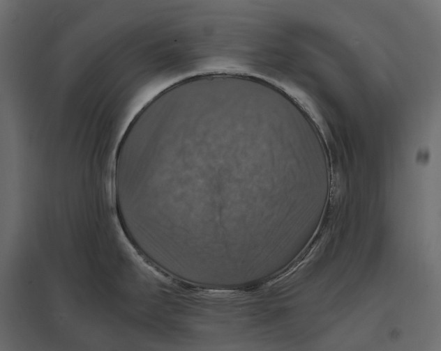 X0000097001295200803071108