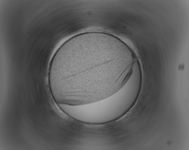 X0000097001296200803071108