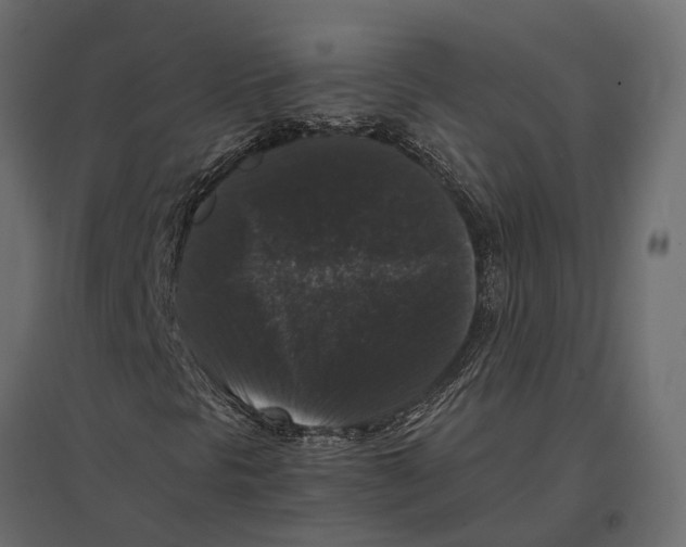 X0000097001297200803071107