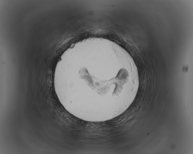 X0000097001301200803071107