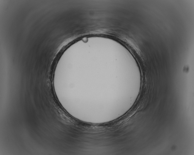 X0000097001308200803071108