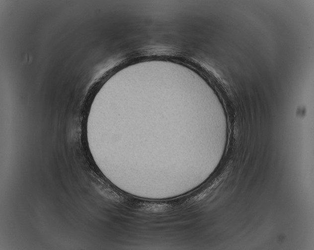 X0000097001309200803071108