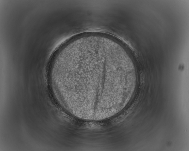 X0000097001311200803071108