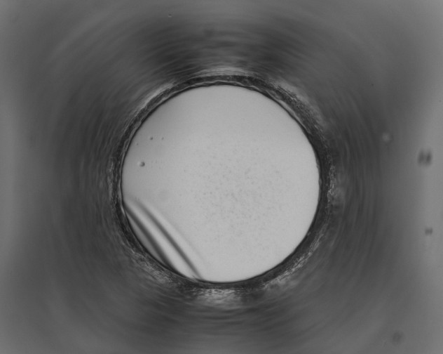 X0000097001313200803071108