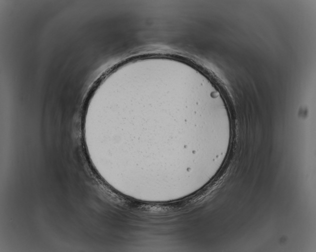 X0000097001318200803071108