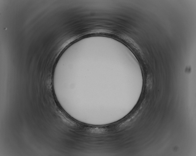 X0000097001321200803071108