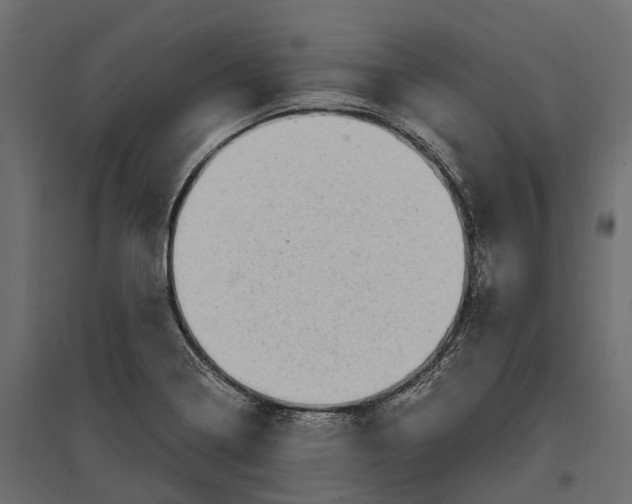 X0000097001322200803071108