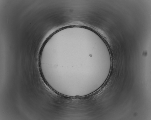 X0000097001326200803071108