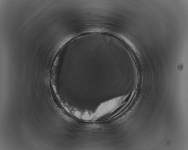 X0000097001329200803071108