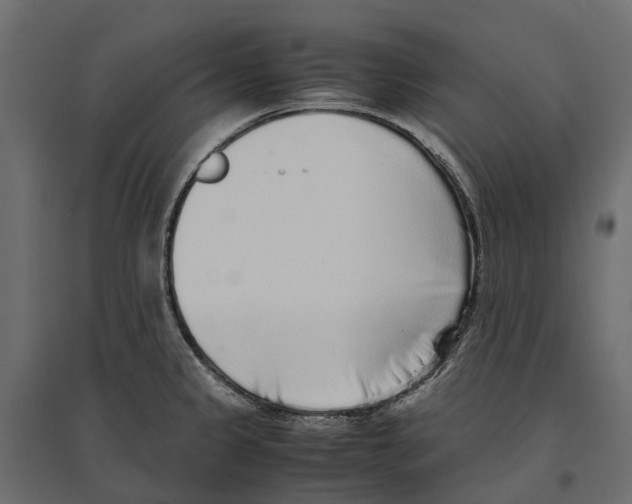 X0000097001333200803071108