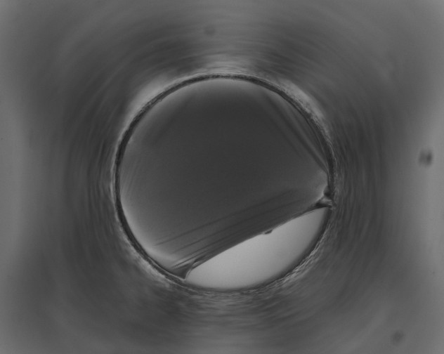 X0000097001334200803071108