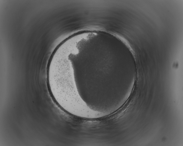 X0000097001335200803071108