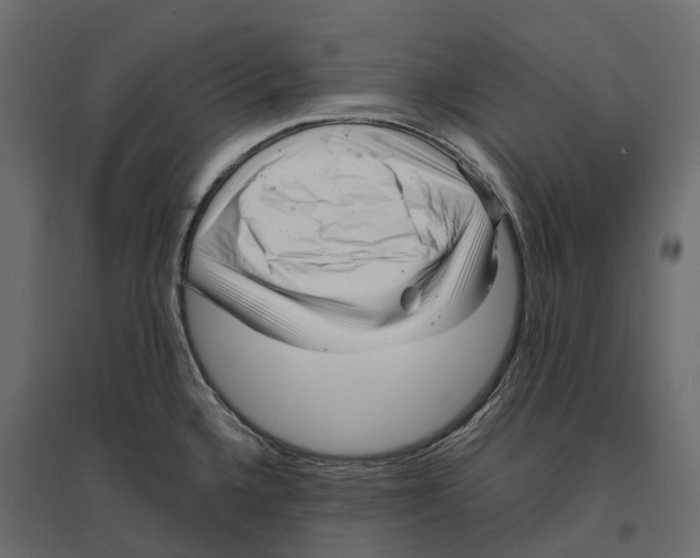 X0000097001336200803071108