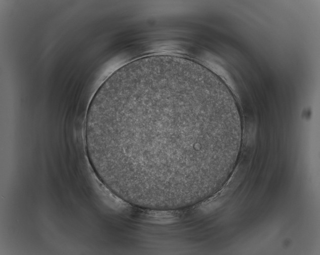 X0000097001338200803071108