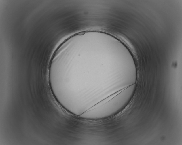 X0000097001340200803071108