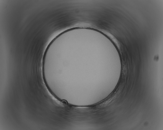 X0000097001343200803071108