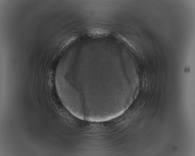 X0000097001346200803071107