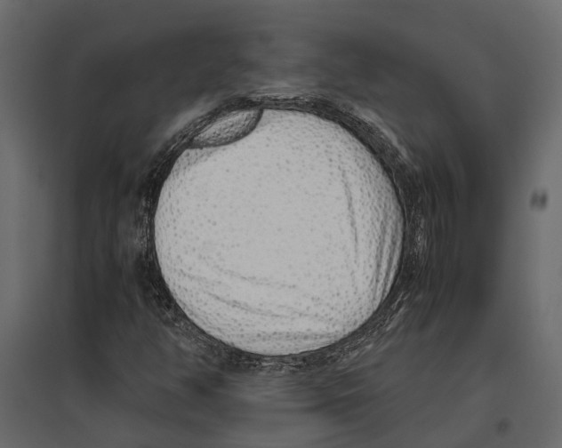 X0000097001350200803071107