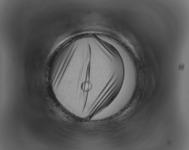 X0000097001352200803071107