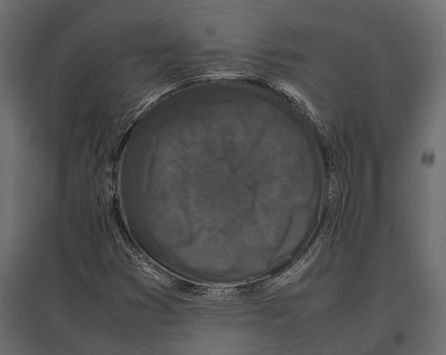 X0000097001353200803071107