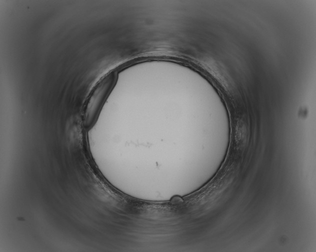 X0000097001356200803071107