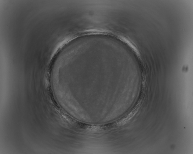 X0000097001357200803071107