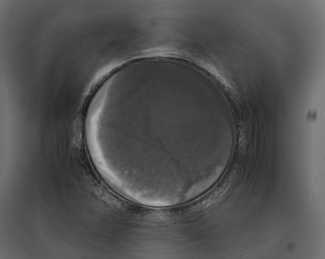 X0000097001358200803071107