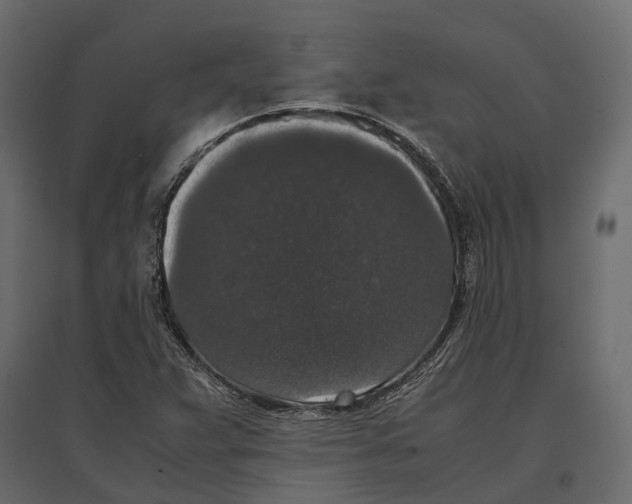 X0000097001359200803071107