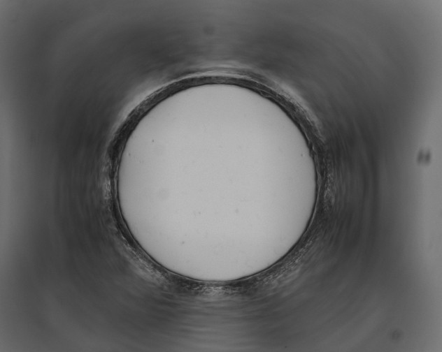 X0000097001360200803071107