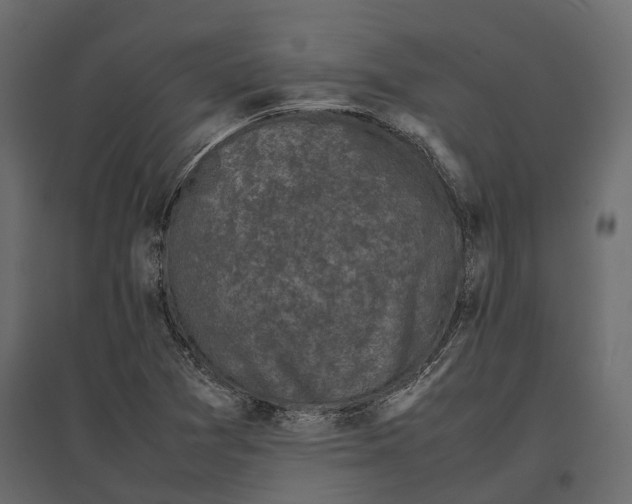 X0000097001361200803071107