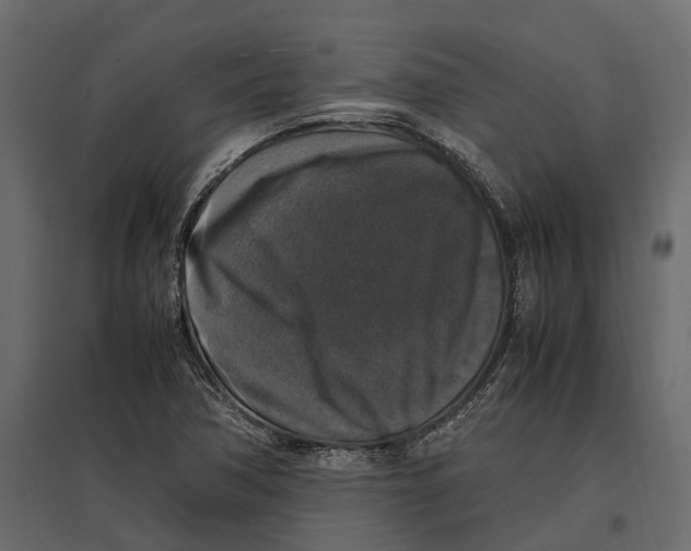 X0000097001362200803071107