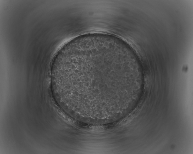 X0000097001363200803071107