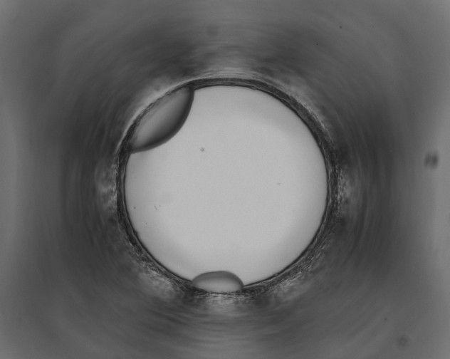 X0000097001364200803071107