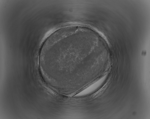 X0000097001365200803071107