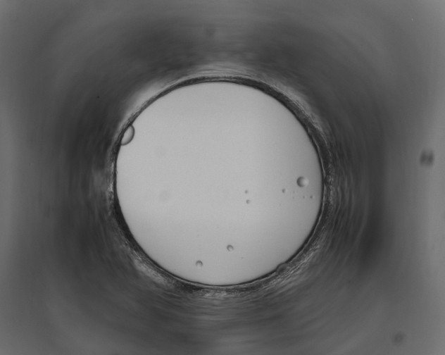 X0000097001366200803071107