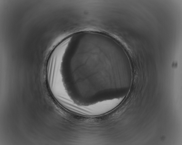 X0000097001367200803071107