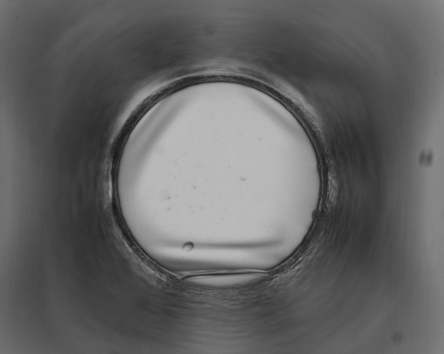 X0000097001368200803071107