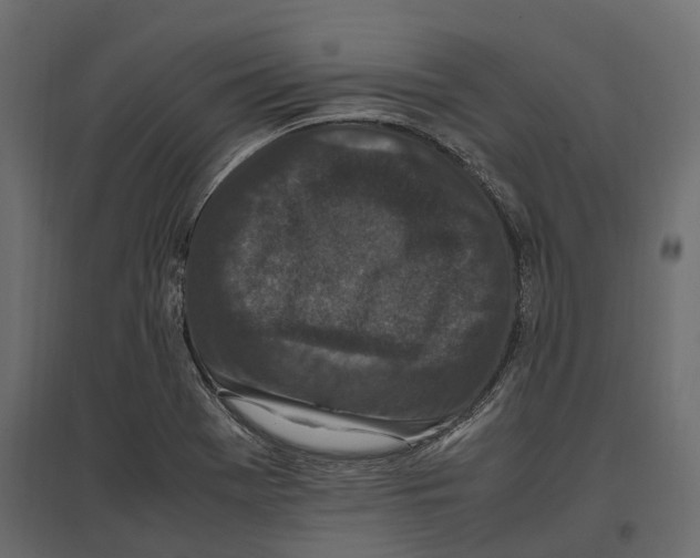 X0000097001369200803071107