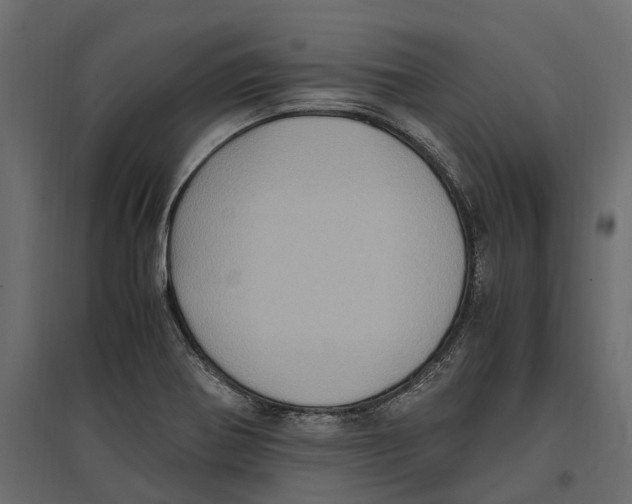 X0000097001370200803071107