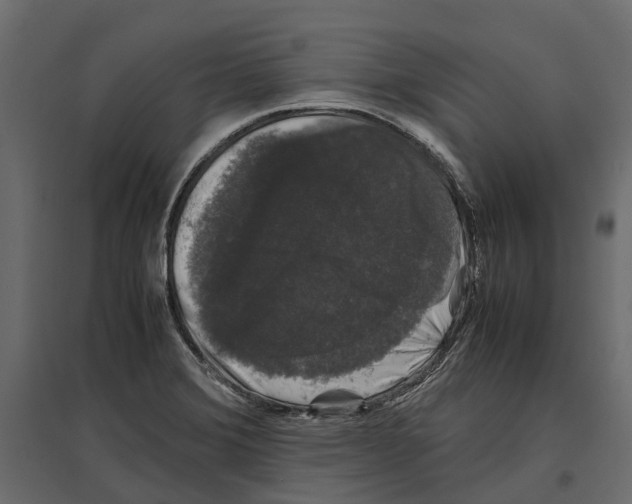 X0000097001372200803071107