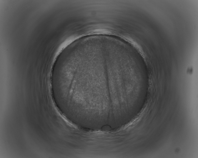 X0000097001373200803071107