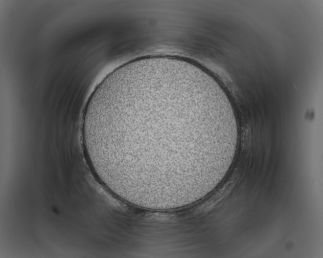 X0000097001374200803071107