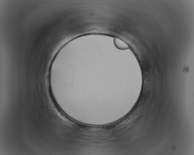 X0000097001375200803071107