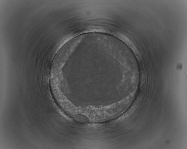 X0000097001377200803071107