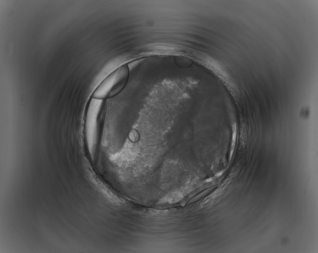 X0000097001378200803071107