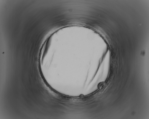 X0000097001379200803071107