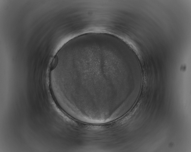 X0000097001382200803071107