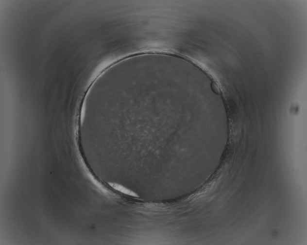 X0000097001383200803071107