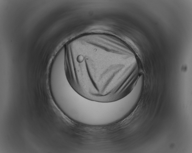 X0000097001384200803071107