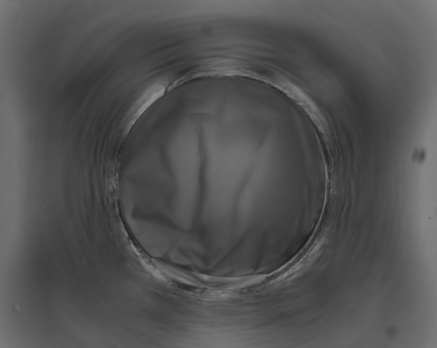 X0000097001385200803071107